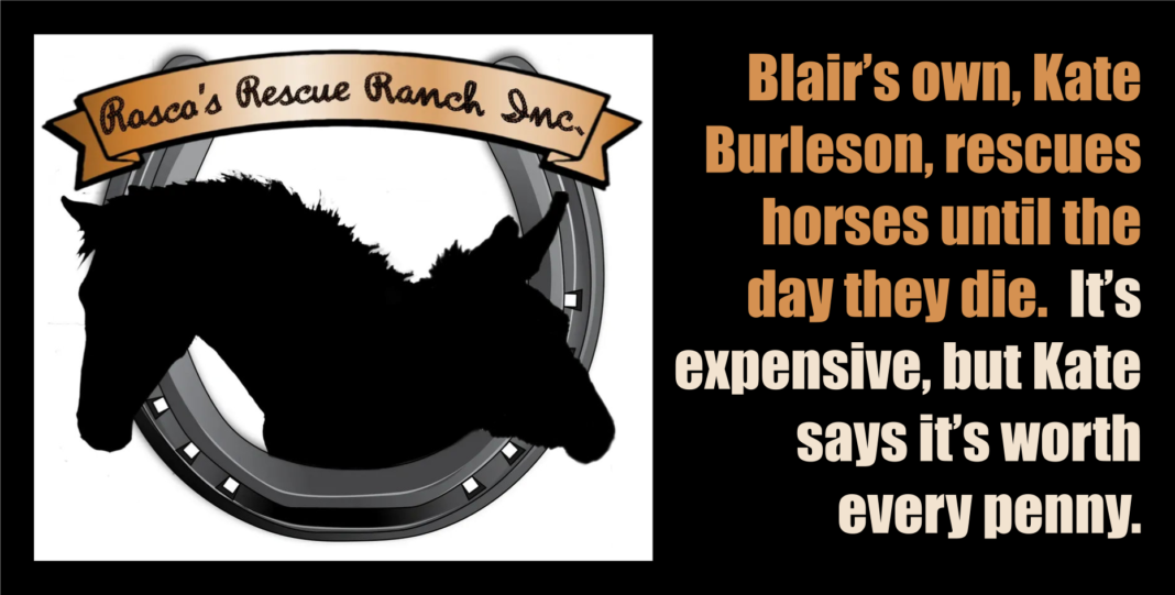 Rosco’s Rescue Ranch, A Sanctuary of Horses, Healing, and Hope