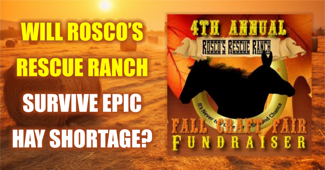 Roscos Rescue Ranch Blair Nebraska Roscos Rescue Ranch Blair Nebraska