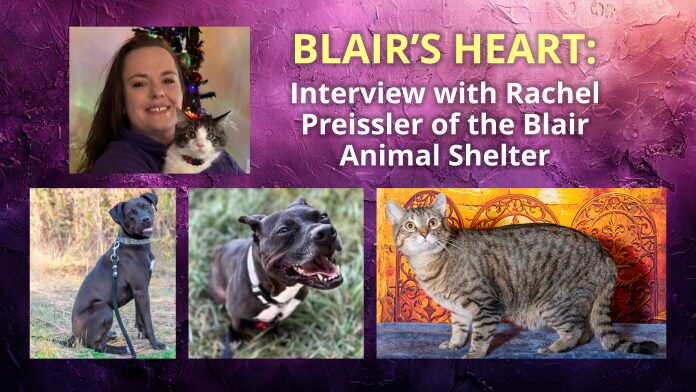 Blair Nebraska Animal Shelter