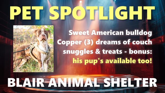 Blair Animal Shelter, Blair, Nebraska Blair Animal Shelter, Blair, Nebraska