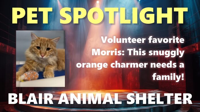 Blair, Nebraska Animal Shelter